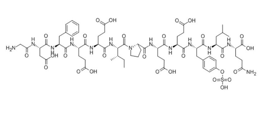 Varicone contains the enzyme hirudin