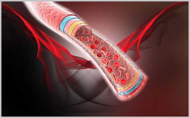 blood flow in the veins after varicose veins treatment with gel